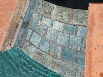 POOL TILE